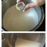 DIY: An easy how to recipe for make goat cheese at home. | ethnicspoon.com