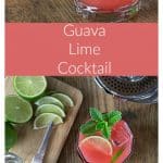 Tangy, tart and sweet guava lime cocktail refreshes on a hot day! Squeeze some limes, add tequila and guava juice and a sprig of mint! Simple and delicious. It's kind of like a margarita except it's stirred and has no salt. Enjoy! | ethnicspoon.com