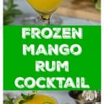 Best the summer heat with a frozen mango rum cocktail with mint! Sweet, tart and delicious! | ethnicspoon.com
