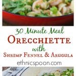 Orecchiette with shrimp, fennel and arugula brings bright fresh flavors in a 30 minute meal! Tasty shrimp, savory fennel and tangy arugula are a great flavor combination. You will love this quick and easy dish for a weeknight meal. | ethnicspoon.com