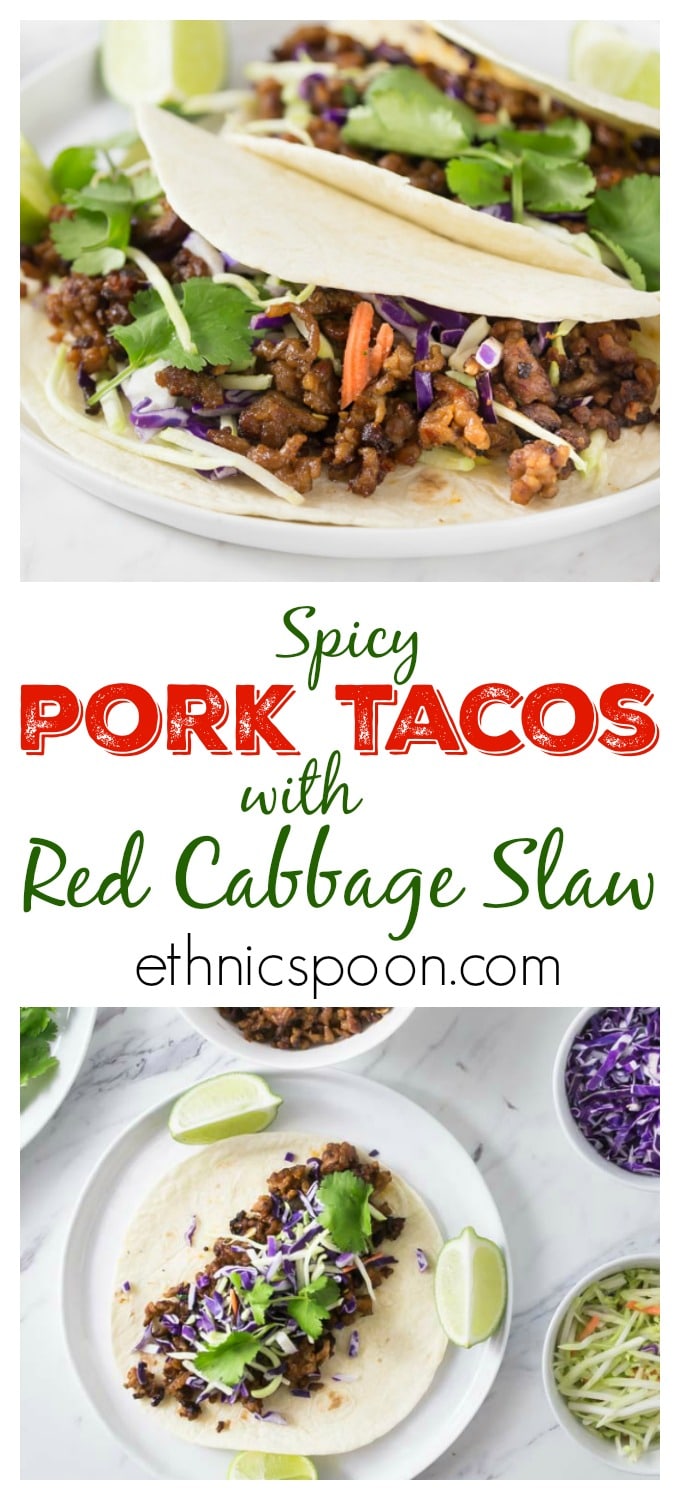 Spicy Pork Tacos with Red Cabbage Slaw Analida's Ethnic Spoon
