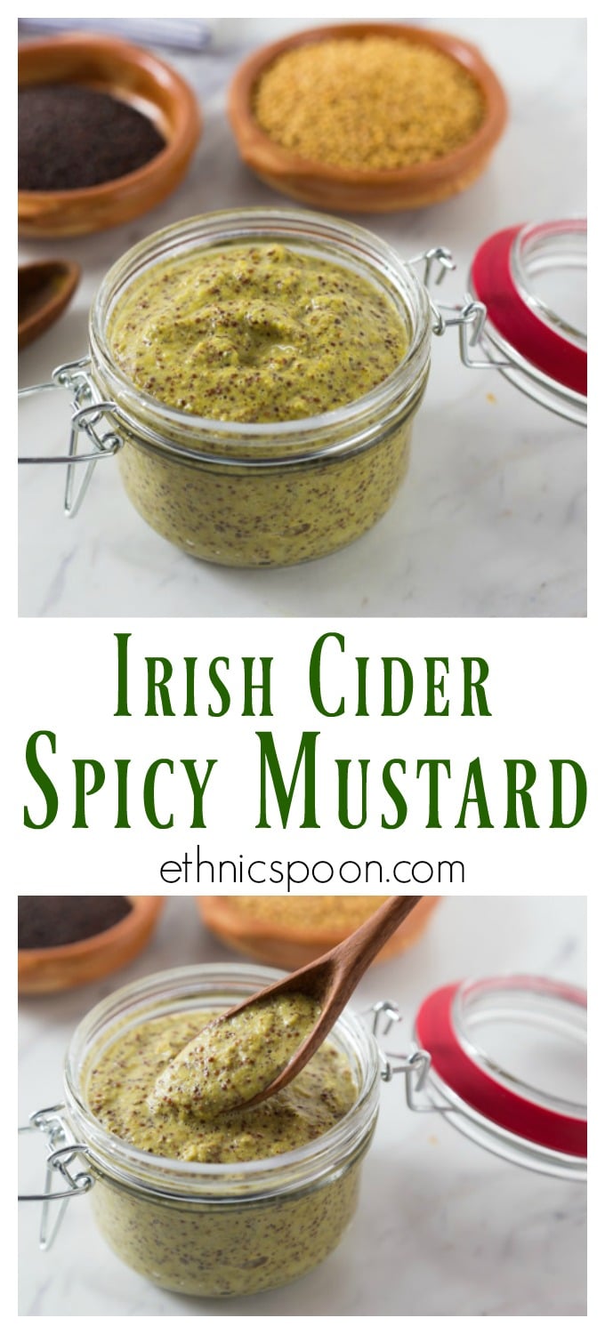 Irish Cider Tarragon Mustard Recipe Analida's Ethnic Spoon
