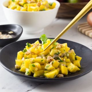 Vietnamese mango salad: A simple salad consisting of diced mango, rice vinegar, shallots, cilantro, fish sauce, peanuts, lime juice and palm sugar. The flavors in this salad have a balance of sweet, tart, bitter and salty. The chopped peanuts give it a nice crunch! | ethnicspoon.com